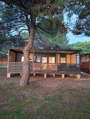 Villa Petra